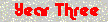 Year Three (Apr 2007 - Mar 2008)