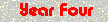 Year Four (Apr 2008 - Mar 2009)